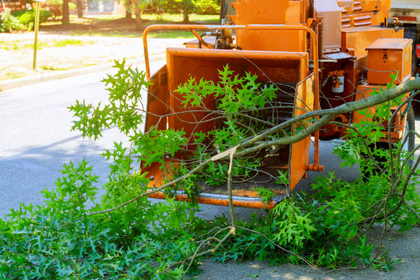 Soil Testing and Treatment