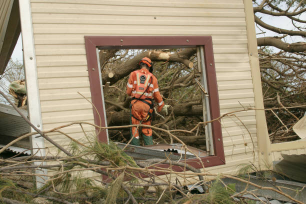 Best Emergency Tree Removal  in Wallingford Center, CT